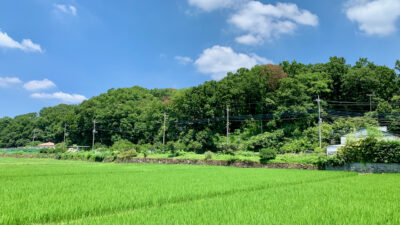 田園風景。