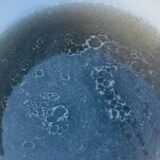 「リンスレス洗車」での予洗い。#1