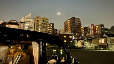 入谷朝顔市。