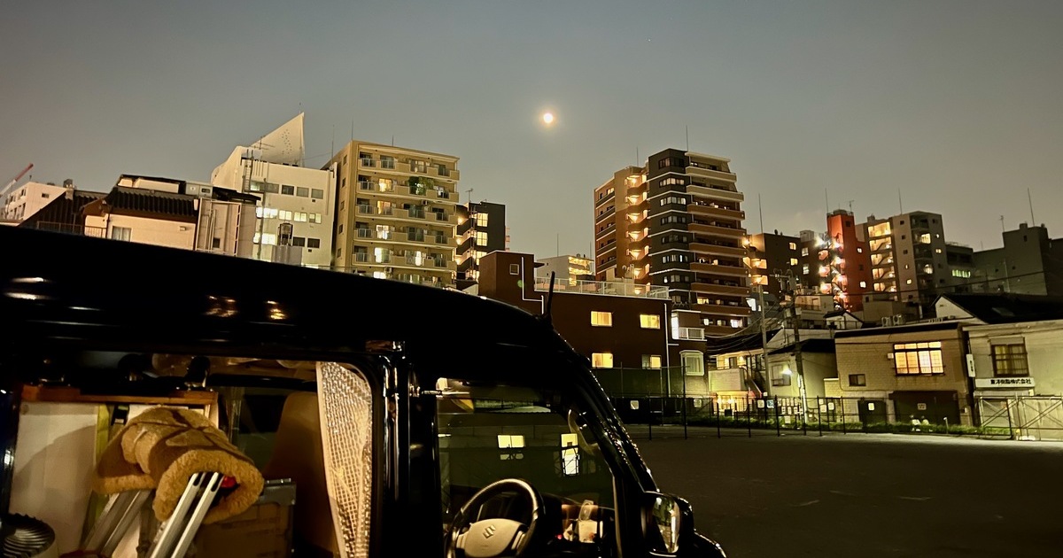 入谷朝顔市。