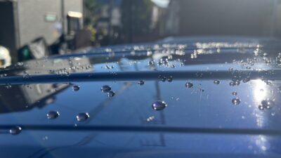 ポリマーシーラントとカルナバワックス。