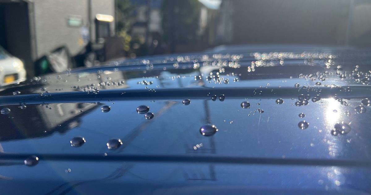 ポリマーシーラントとカルナバワックス。